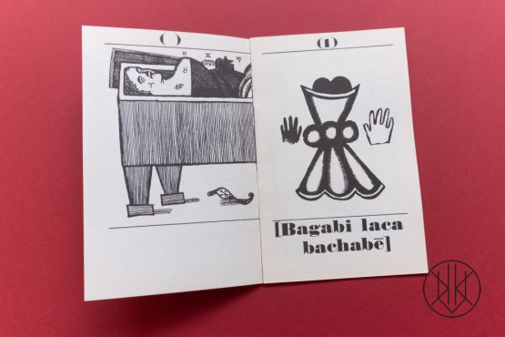 Jiří Šalamoun: Bagabi Laca