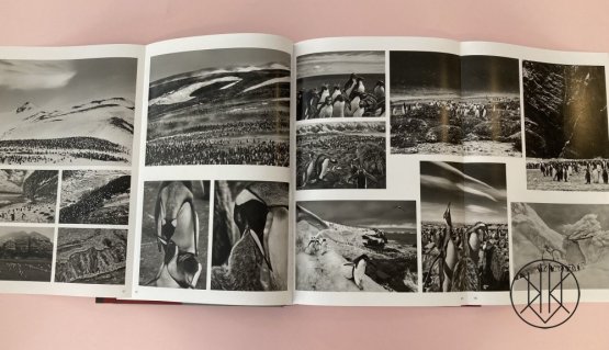 Sebastião Salgado: Genesis
