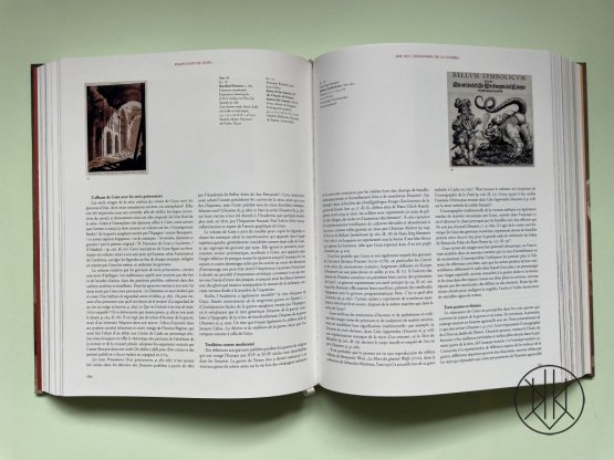 Goya: The Complete Prints