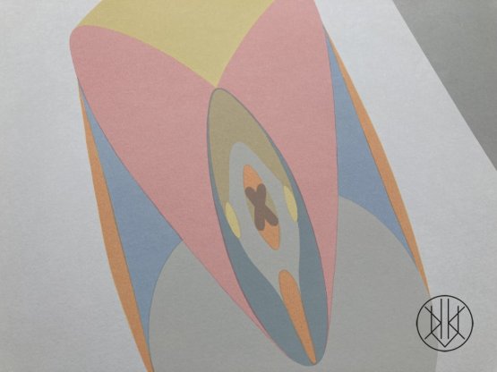 Petr Nikl: Papoušek růžový