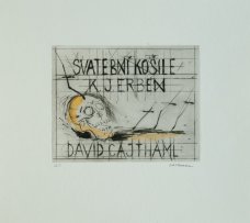 David Cajthaml - Karel Jaromír Erben, Svatební košile