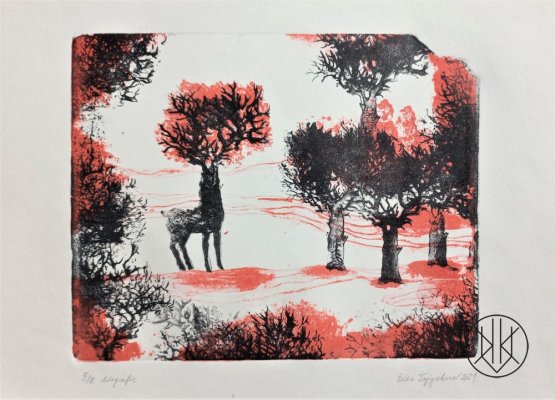 Ester Tajrychová: Untitled