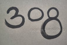 Radek Dětinský: 308