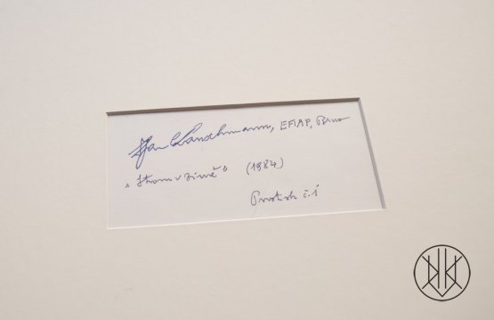 Jan Lauschmann - Strom v zimě
