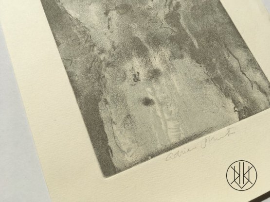 Adriena Šimotová: Rilke - Dopisy a sny