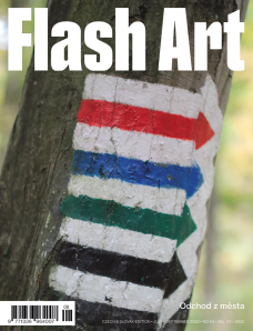 FLASH ART #64
