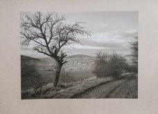 Jan Reich: Cesta do Počepic, 1983