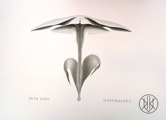 Petr Nikl - Naturaléza