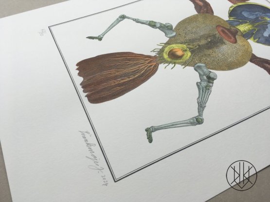 Jan Švankmajer: Bilderlexikon - Zoologie 14