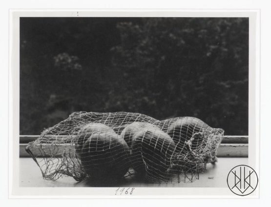 Jan Svoboda: Odpoledne IV