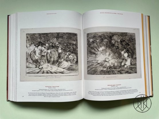 Goya: The Complete Prints