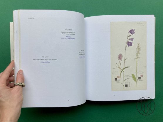 Hilma af Klint: What Stands Behind the Flowers