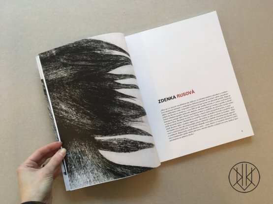 Zdenka Rusová: Between the Mysterious and the Obvious