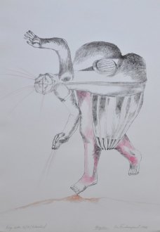 Eva Švankmajerová, Migréna, 1996