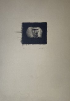 Petr Nikl: Opice