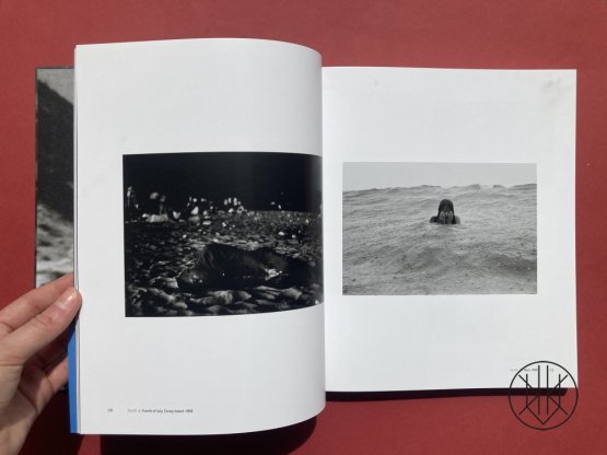 Life Dances On: Robert Frank in Dialogue