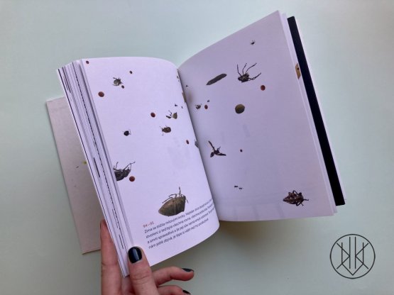 O čem sní mravenec