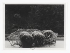Jan Svoboda: Afternoon IV