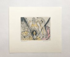 David Cajthaml - Karel Jaromír Erben, Svatební košile