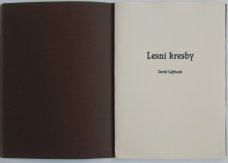 David Cajthaml - Forest drawings