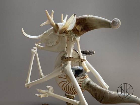 Jan Švankmajer: Zvíře Kašpar