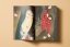 Japanese Woodblock Prints