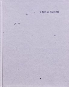 O čem sní mravenec