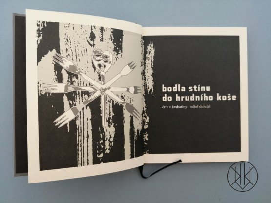 Bodla stínu do hrudního koše
