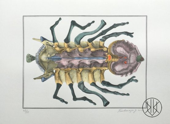 Jan Švankmajer: Bilderlexikon - hexapoda 9
