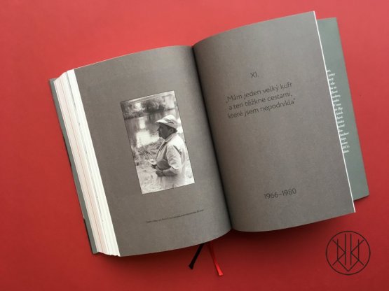 Toyen: První dáma surrealismu