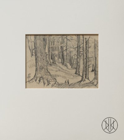 Jan Autengruber: A forrest