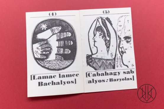 Jiří Šalamoun: Bagabi Laca