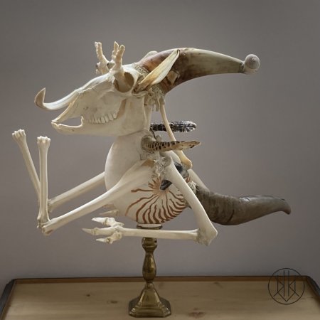 Jan Švankmajer: Zvíře Kašpar