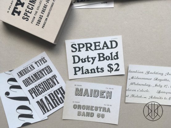 A Selection of Fifty Type Specimens