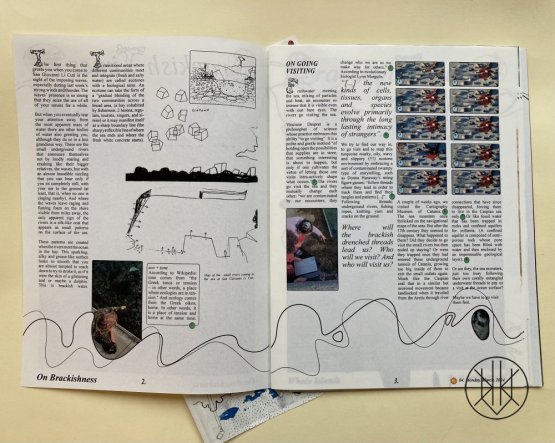 Brackish Times: The Daily Sea Monster Report of San Giovanni Li Cuti