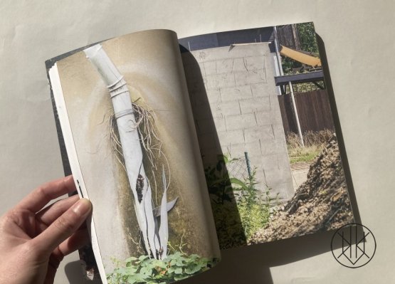 Troubled! Architecture of Ruinous Landscapes