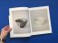 Utsuwa Katachi: Japanese Ceramics and Forms