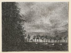Barbora JC – Noční cesta III