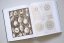 The Art and Science of Ernst Haeckel