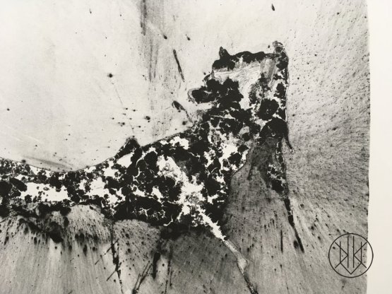 Petr Nikl: Leopard