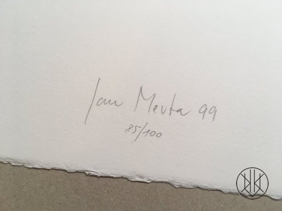 Jan Merta - Chatka 5
