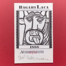 Jiří Šalamoun: Bagabi Laca