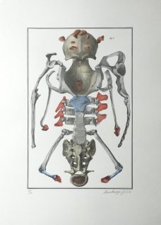 Jan Švankmajer: Bilderlexikon - Nesoustavná anatomie 2