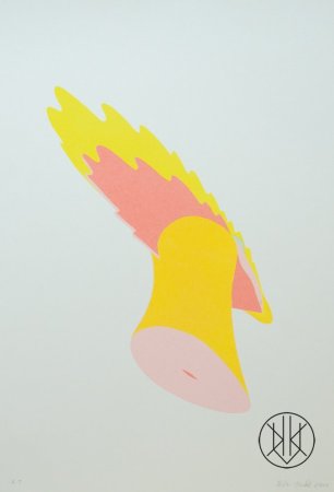 Petr Nikl: The Parrot