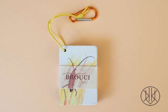 Brouci Kapesní atlas