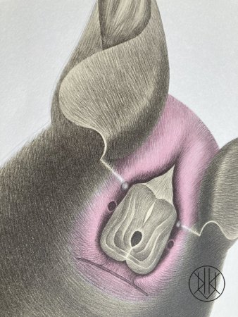 Petr Nikl: Tlustý netopýr