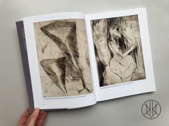 Růst a světlo tvarů / Aspekty díla Miloše Ševčíka