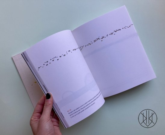 O čem sní mravenec