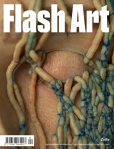 Flash Art #72