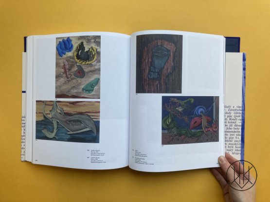 Josef Šíma: Mezisvěty